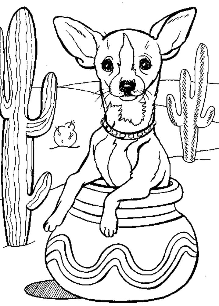 Online-Malbuch Chihuahua in der Wüste