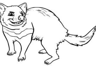 Online coloring book Tasmanian Devil from the fairy tale