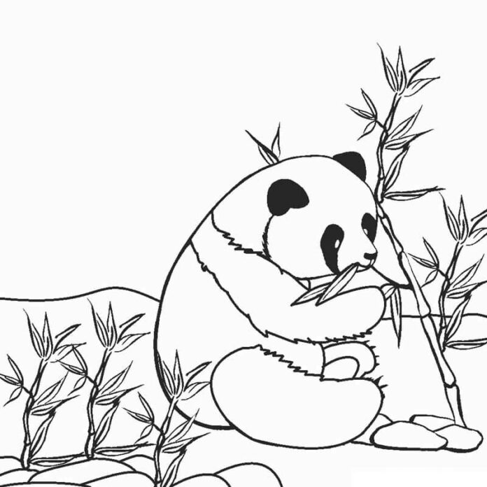 Druckfähiges Malbuch Big Panda Eats Dinner