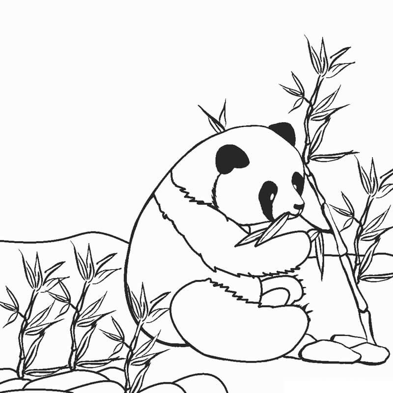 Páginas para colorir Panda de bambu Ilustração por ©Efengai #123769746