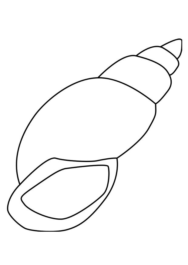 Online coloring book Large snail shell