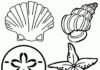 Online coloring book Big seashells on the sand