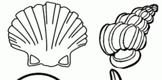 Online coloring book Big seashells on the sand