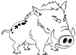 Online coloring book Big boar to print