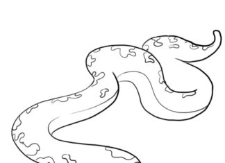 Livre de coloriage en ligne Grand serpent anaconda
