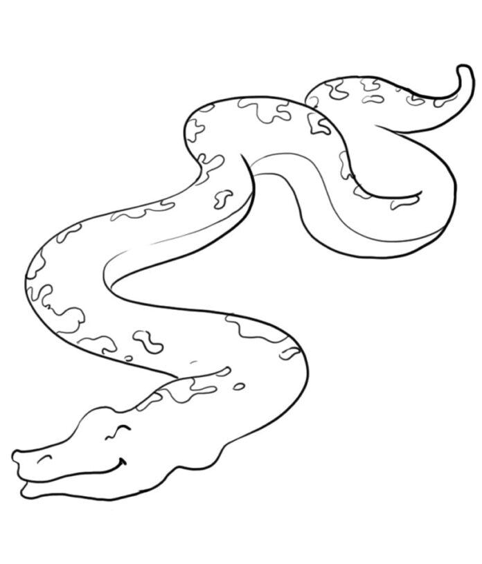 Kolorowanka online Duży wąż anakonda