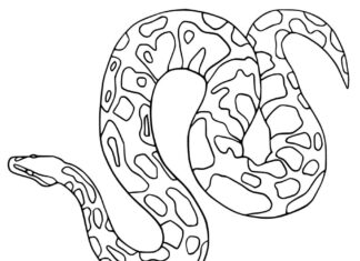 Online coloring book A big snake is basking