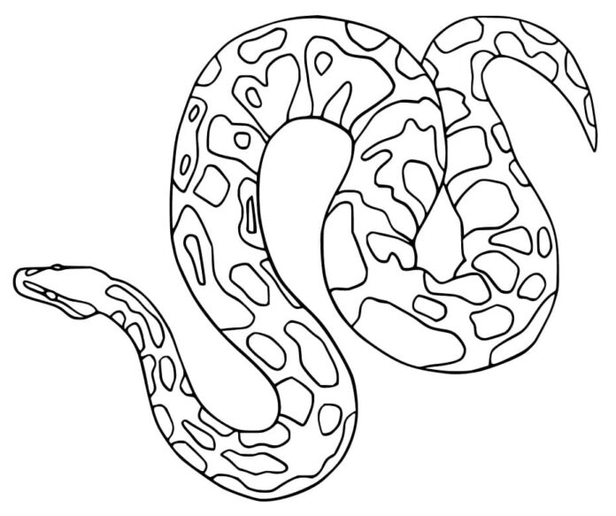 オンライン塗り絵 大きな蛇がひなたぼっこをしている