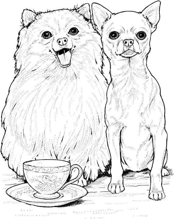 オンライン塗り絵 絵の中の2匹の小犬