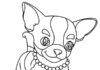 Online målarbok Chihuahua flicka med pärlor