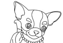 Online värityskirja Chihuahua tyttö helmet kanssa