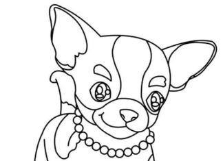 Online värityskirja Chihuahua tyttö helmet kanssa