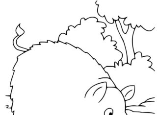 Online coloring book Wild boar looking for food