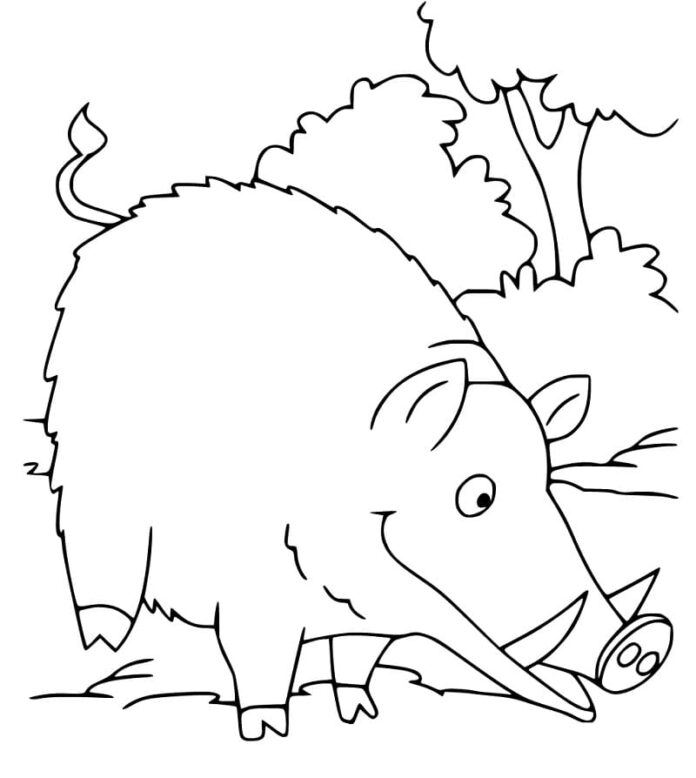 Online coloring book Wild boar looking for food