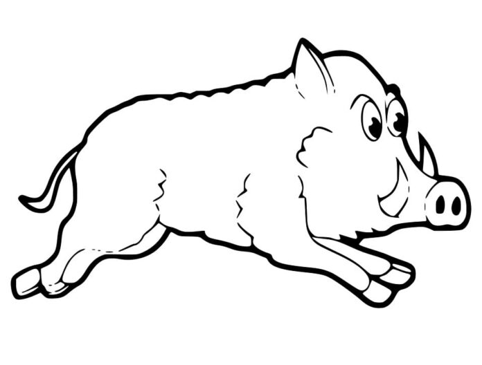 Coloring Book Wild boar on the run to print