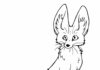Livre de coloriage en ligne Le Fennec aux grandes oreilles