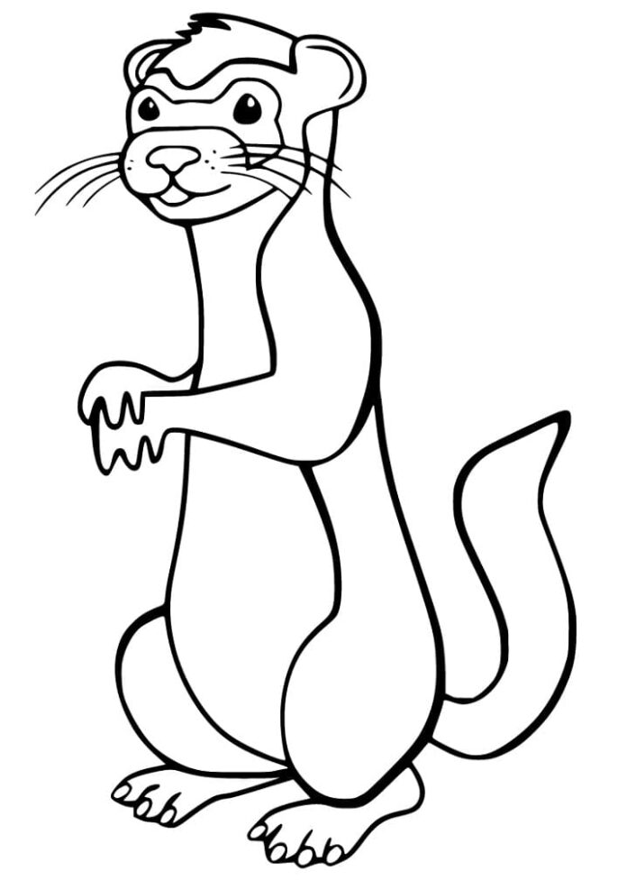 Online coloring book Ferret stands and looks