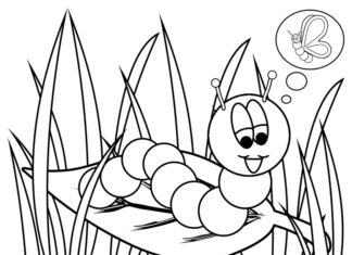 Printable coloring book Caterpillar turns into a butterfly
