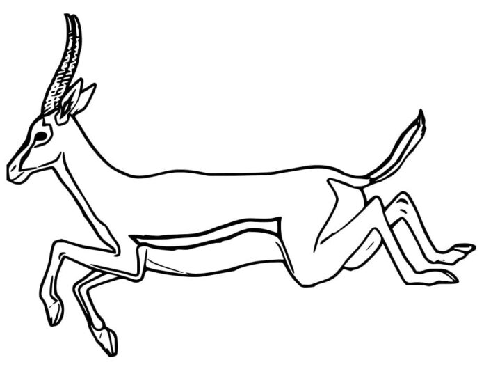 Online maľovanka Gazelle na úteku
