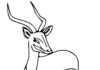 Online coloring book Gazelle of Africa