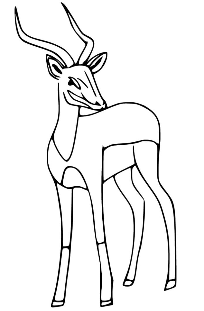 Livro on-line de colorir gazela africana