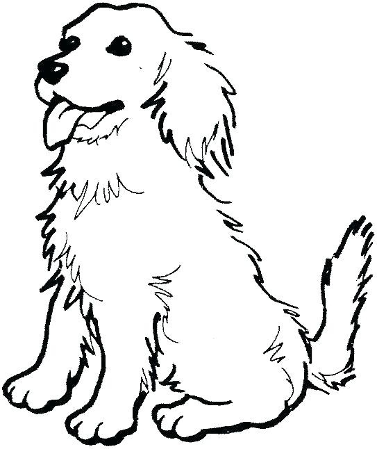 Online coloring book Golden retriever waiting for commands