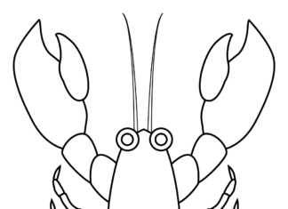Online coloring book Lobster for kids