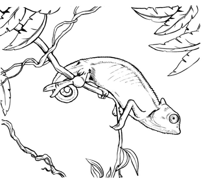 Coloring Book Chameleon Ready to Attack Printable