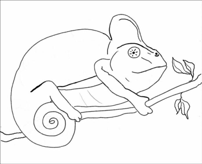 Coloring Book Chameleon Goes Home to Print