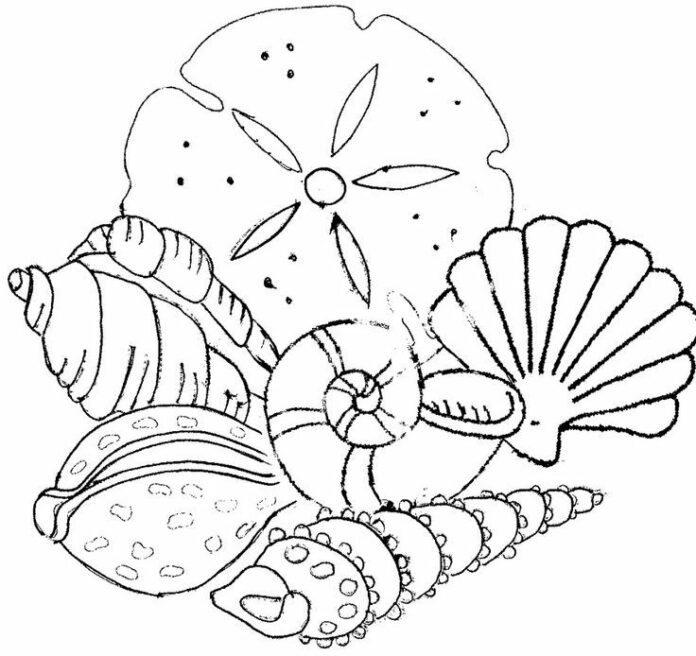Online Coloring Book Several Different Shells