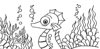 Libro para colorear en línea del caballito de mar y las conchas