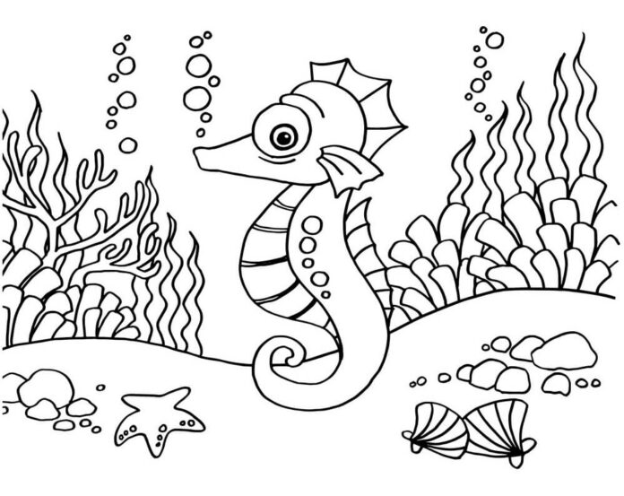 Seahorse and shells online coloring book