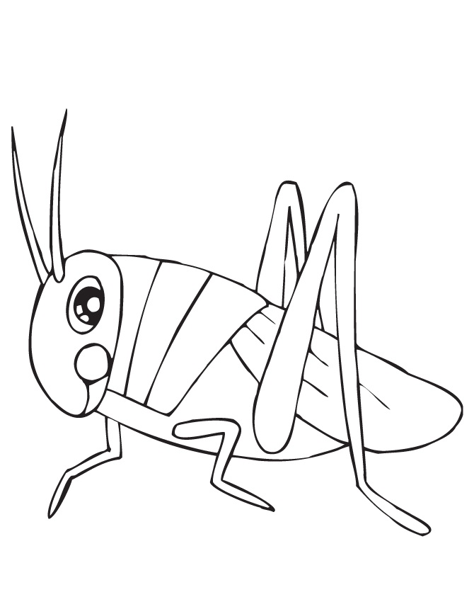 Omaľovánky Grasshopper na vytlačenie