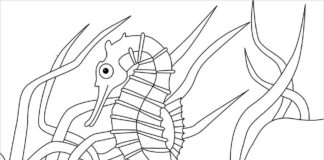 Online coloring book Seahorse at the bottom of the sea