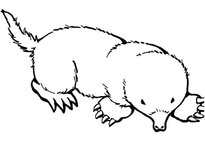 Online coloring book Mole in the picture for kids