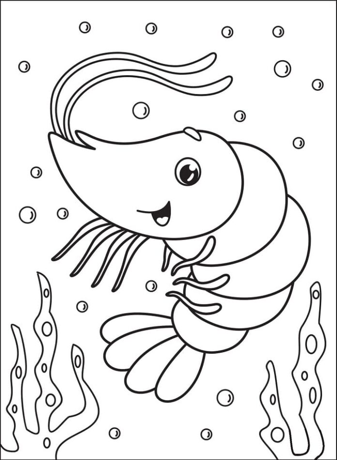 Online Coloring Book Cartoon Shrimp