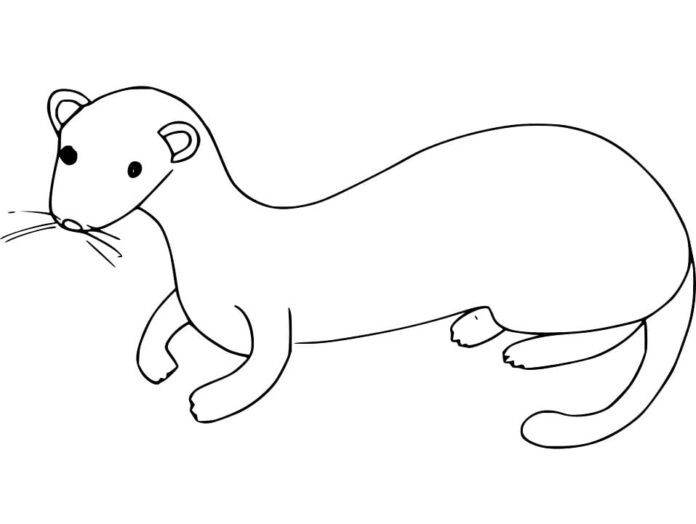 Livro online para colorir Weasel para crianças