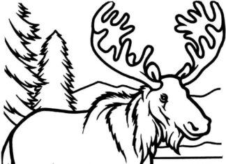 Livro online para colorir Alce no inverno nas montanhas