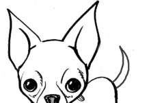 Online maľovanka Malý pes s veľkými ušami