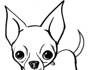 Online omalovánky Malý pes s velkýma ušima