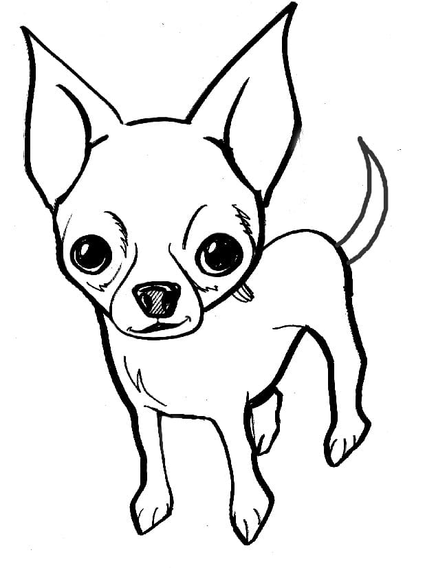 Livro colorido on-line Cão pequeno com orelhas grandes