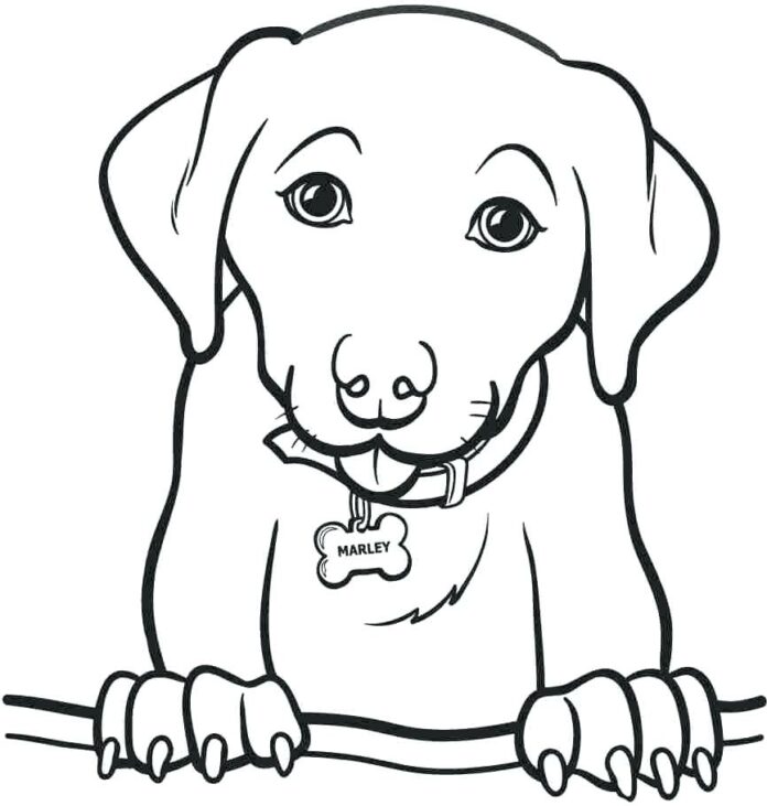 Online-Malbuch Ein kleiner Hund mit einem Halsband