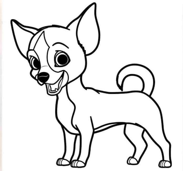 Online coloring book A little groomer from the children's cartoon