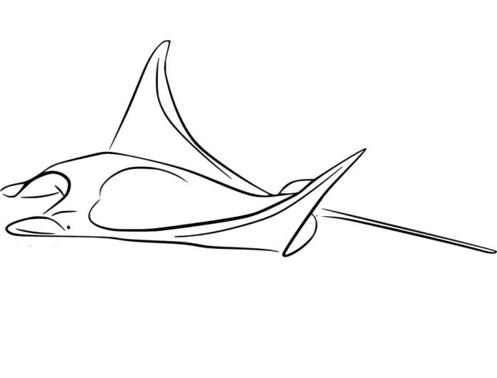 Online coloring book Manta on the move underwater