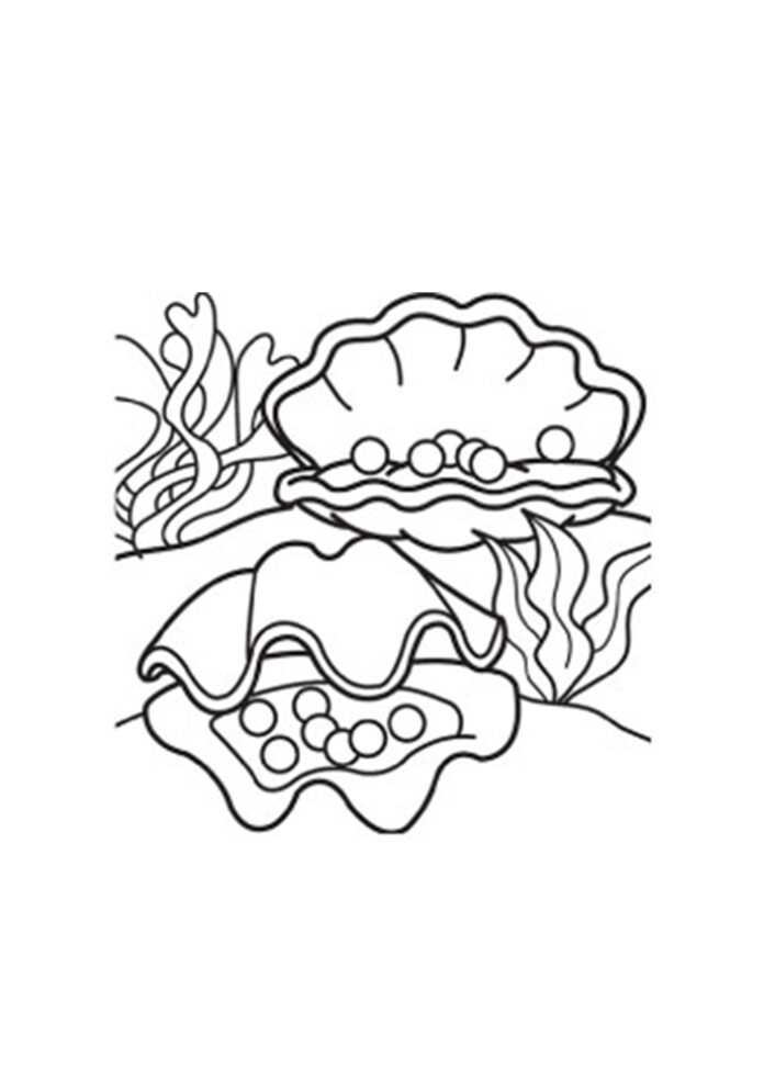 Shells and pearls online coloring book