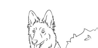 Online coloring book German Shepherd from the animated cartoon