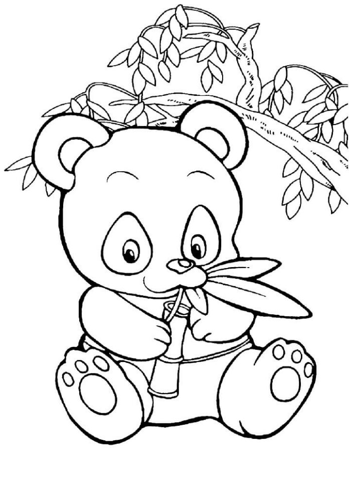 Livre à colorier Bébé Panda mange du bambou à imprimer