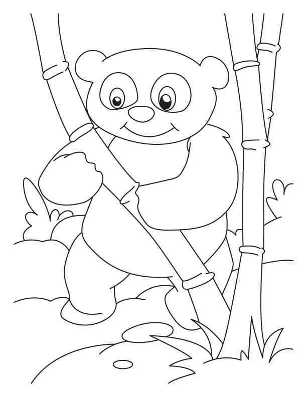 Panda malebog til børn til udskrivning