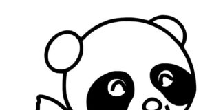 Livre de coloriage Panda skates à imprimer