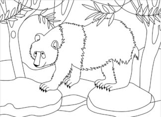 Livre à colorier Panda cherche de la nourriture à imprimer pour les enfants